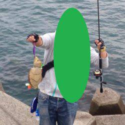 中紀、アオリイカの数が少し減って大きくなってきました