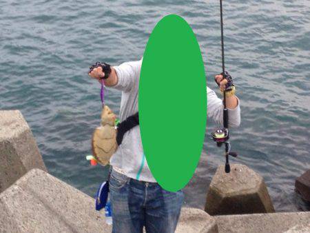 中紀、アオリイカの数が少し減って大きくなってきました