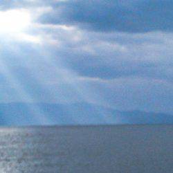 ジジジッ ジジッジジ