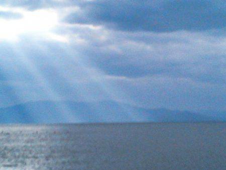 ジジジッ ジジッジジ