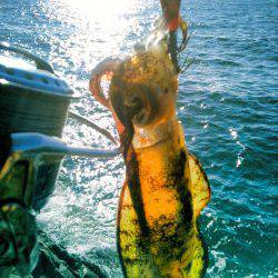 そろそろ終わりかなぁ～！