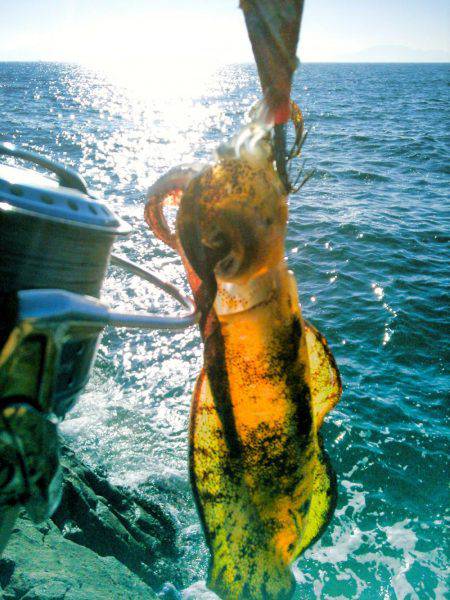 そろそろ終わりかなぁ～！