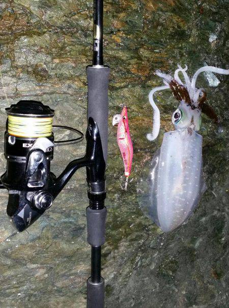 おいしくイカダキマス