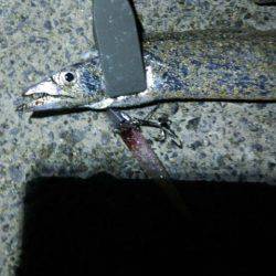 短時間ワインド