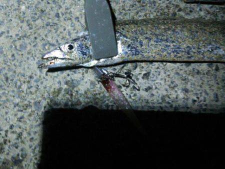 短時間ワインド