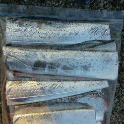 早朝タチウオ、F4級3連荘！今年は大型が多いです。