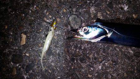 粘りに粘って…