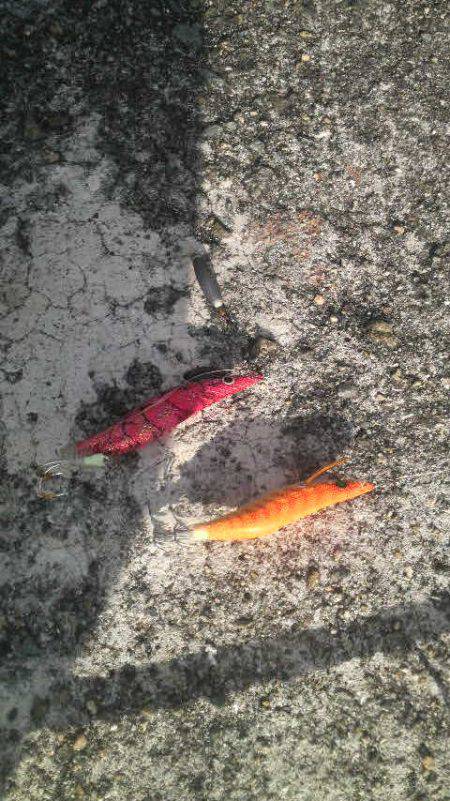 ティップランプラス釣法をマネてみた