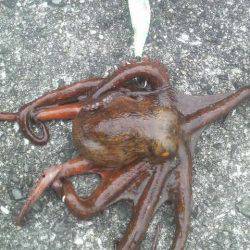 変わった釣り方は要注意！！