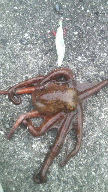 変わった釣り方は要注意！！