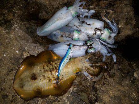 ポイントを変えて