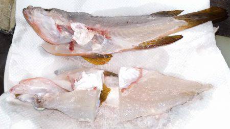 アコウは終盤か