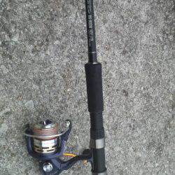 短い時間でもタコが釣れた!