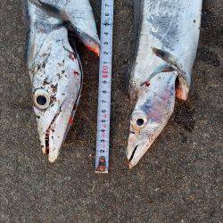 あと３㎝…(　ＴДＴ)