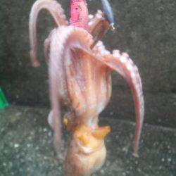 今日はダメかと思ったが・・・◎