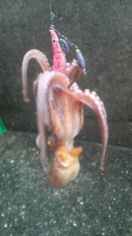 今日はダメかと思ったが・・・◎