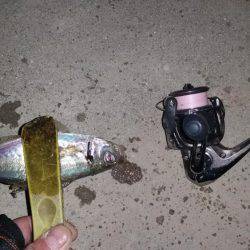 砂地のポイントでアジング!!