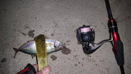 砂地のポイントでアジング!!