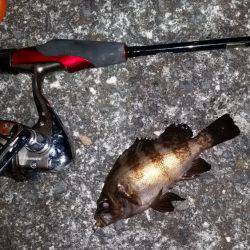 メバル狙いで南下!