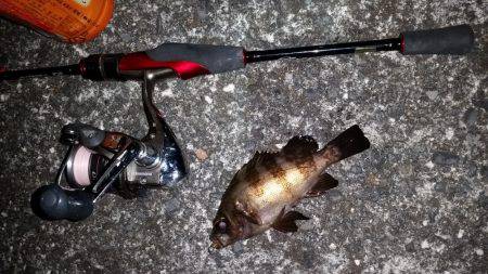 メバル狙いで南下!