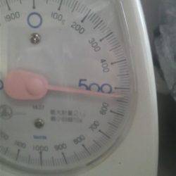 コウイカのでかいの釣れた！