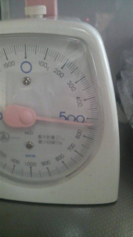 コウイカのでかいの釣れた！