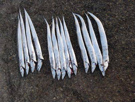 あと、２㎝…(　ＴДＴ)