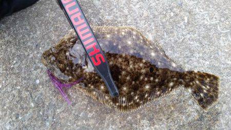 何気に初めて釣りましたー！