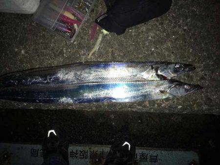 結局タチウオ…（笑）