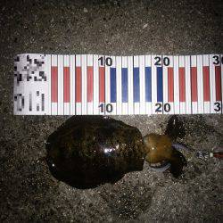 サイズが伸びない・・・