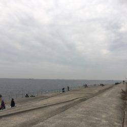 南芦屋浜タチウオ