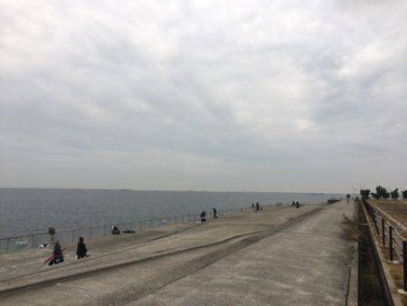 南芦屋浜タチウオ