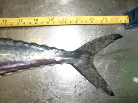 雨にも負けず！