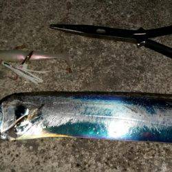 タチウオ遅めのジアイ