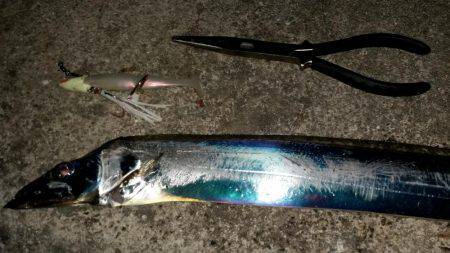 タチウオ遅めのジアイ