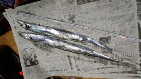 アオリ&サーベル