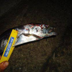 仕事終わりに、ちょっとワインド