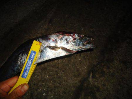 仕事終わりに、ちょっとワインド