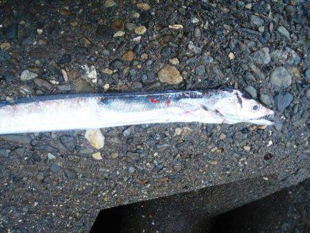 雨の中を．．．