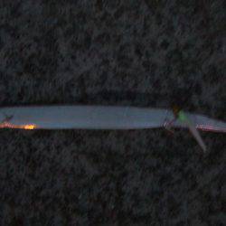 タチウオ 午後3時にゲットも計3尾