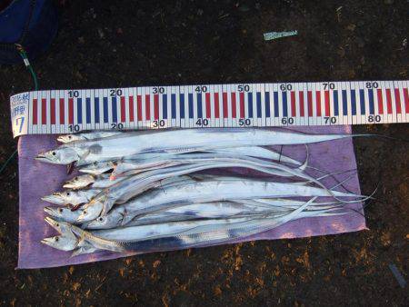 約３０分。ドラゴンは。