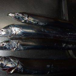 釣れる竿、釣れない竿。ってありますよね?