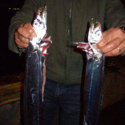 ドラゴン 再び。