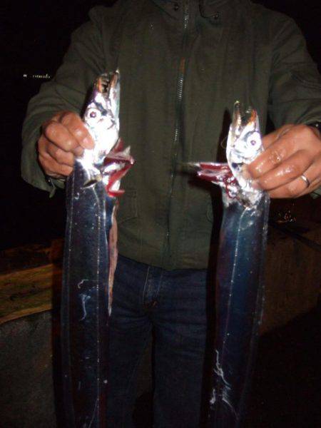 ドラゴン 再び。