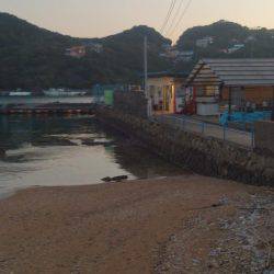 カタタの釣り堀でヒラマサイベント