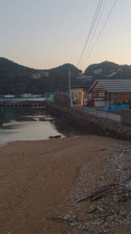 カタタの釣り堀でヒラマサイベント