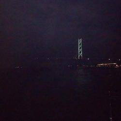 ナイターエギング