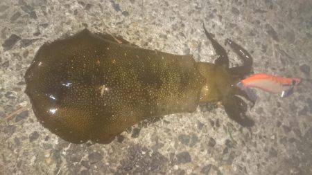 渋い、寒〜い。