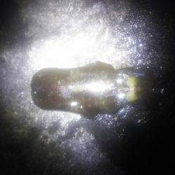 ヤエンで釣りました