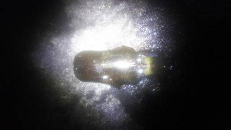 ヤエンで釣りました